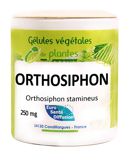 Gélules Orthosiphon - 100 gélules - PHYTOFRANCE