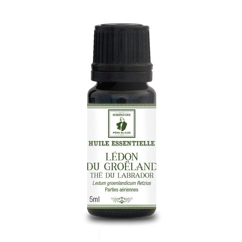 Huile Essentielle Ledum ou Lédon du groenland (Thé du Labrador) BIO - 5 ml - PÈRE BLAIZE