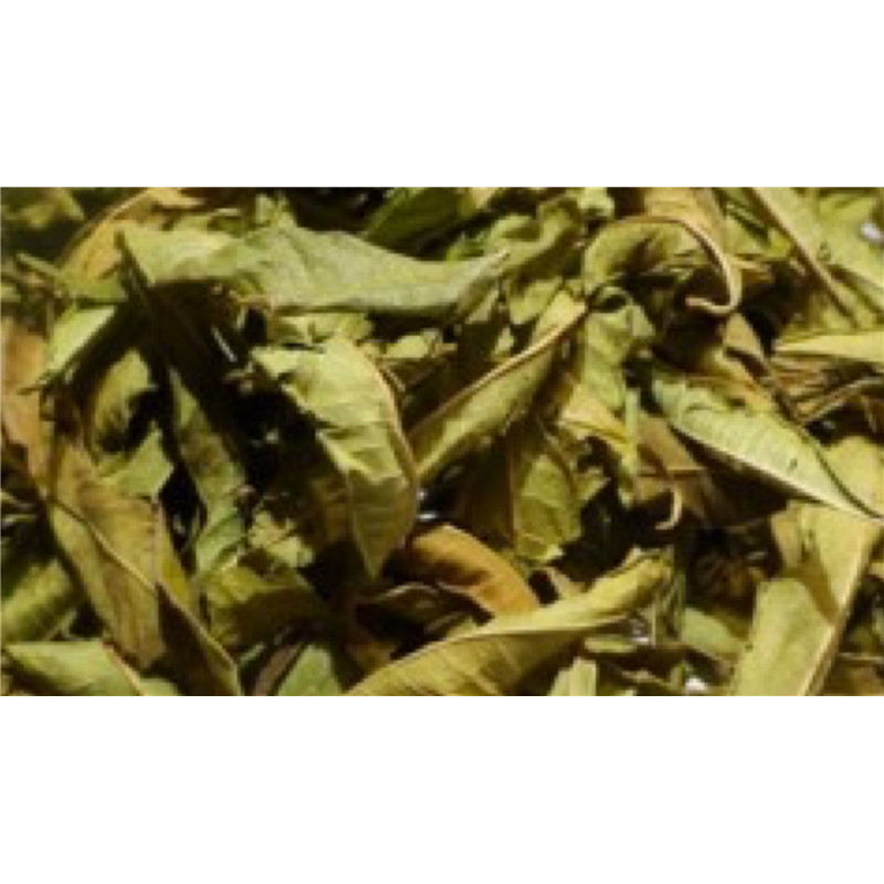 Riz rouge (Levure, Monascus purpureus) + Q10 - 30 gélules - MGD