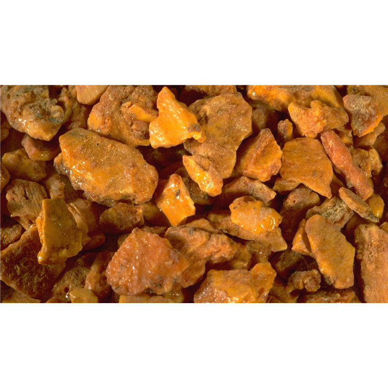 Rhodiola - 90  capsules - MGD