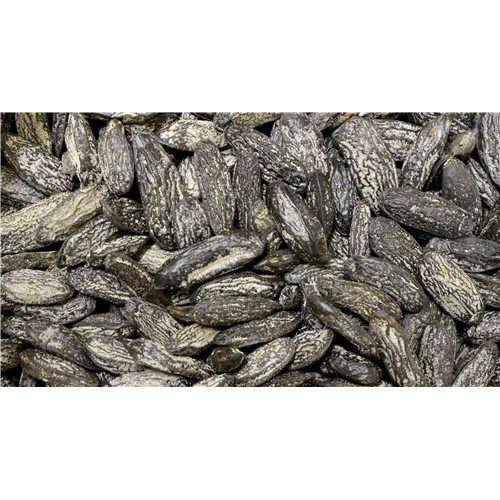Crème WILD YAM - 75ml - MGD