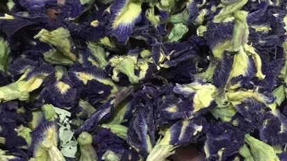 Griffonia (Graine, Griffonia simplicifolia) extrait 30% 5-HTP - 60 gel - MGD