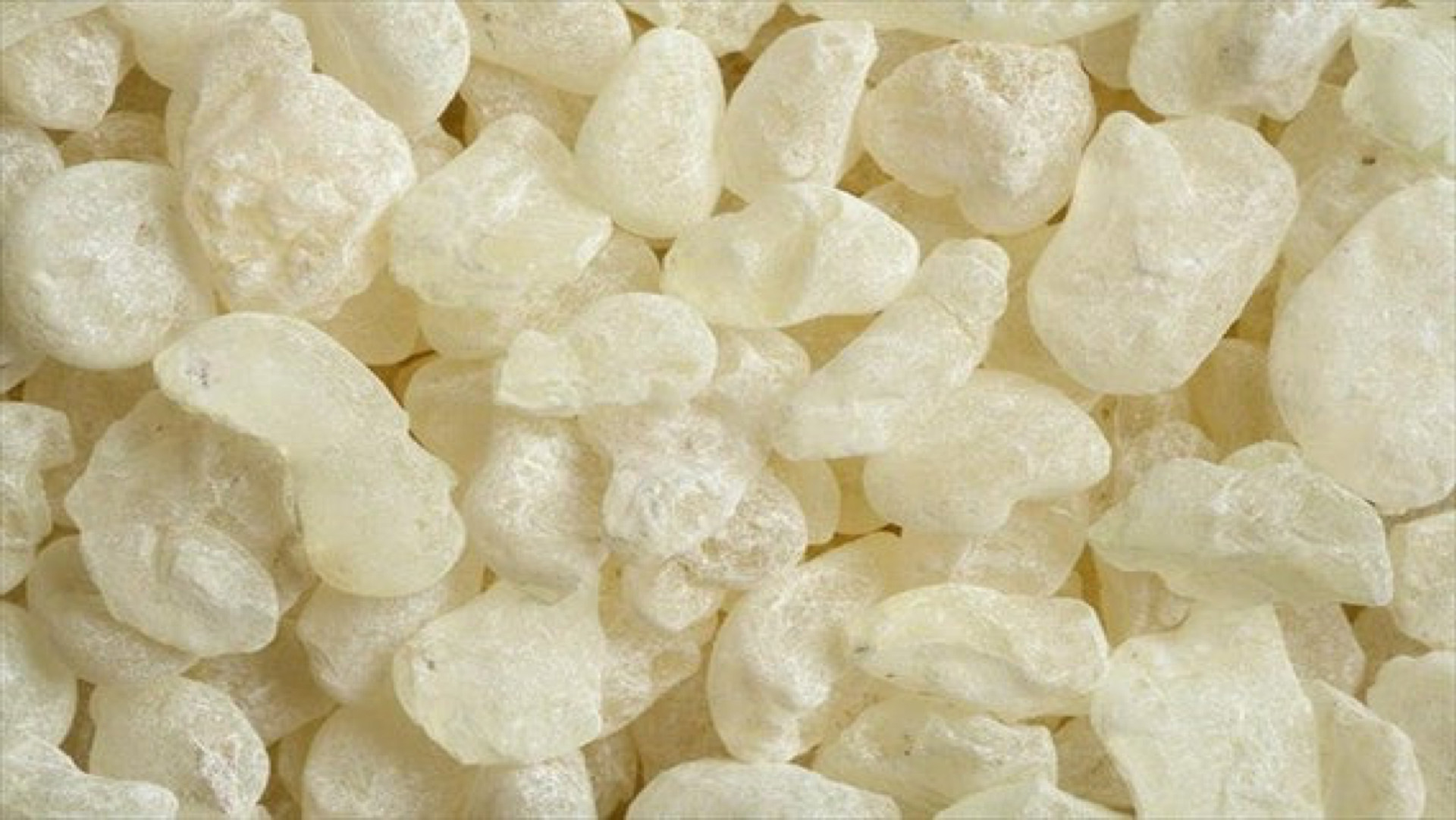 Nigelle (huile) - 100 capsules - MGD