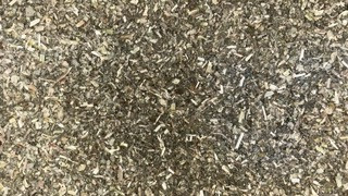 Carotte BIO (Racine, Daucus carota) - 90 gélules - MGD