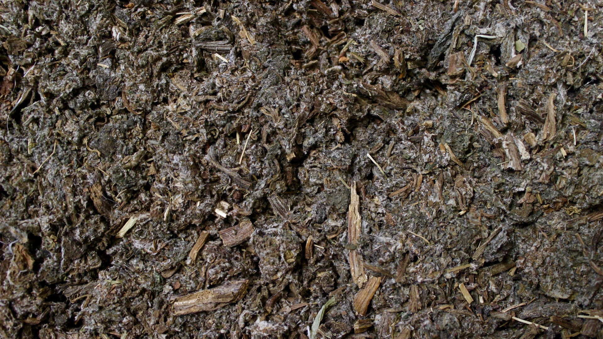 Coa Levure bière & algues - 300 micro comprimés (env) - OLIGOPHYTUM - HOLISTICA
