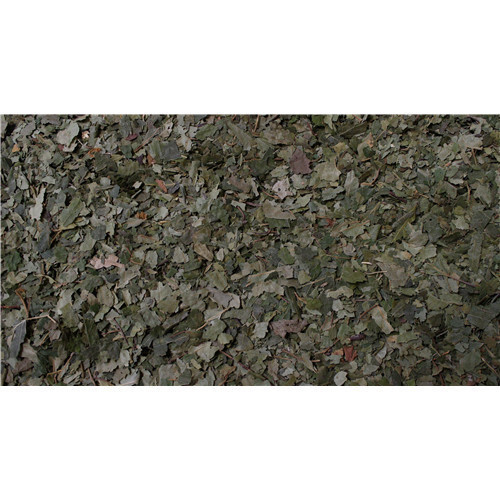Flr pissenlit - 300 micro comprimés (env) - OLIGOPHYTUM - HOLISTICA