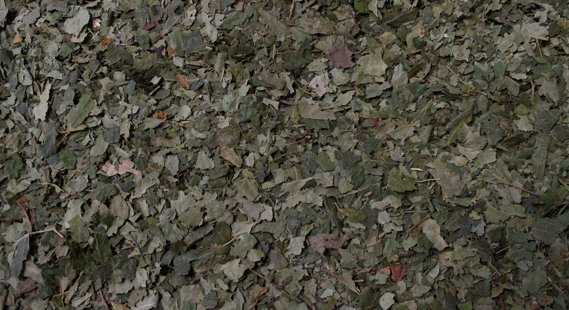 Mco artichaut - 300 micro comprimés (env) - OLIGOPHYTUM - HOLISTICA