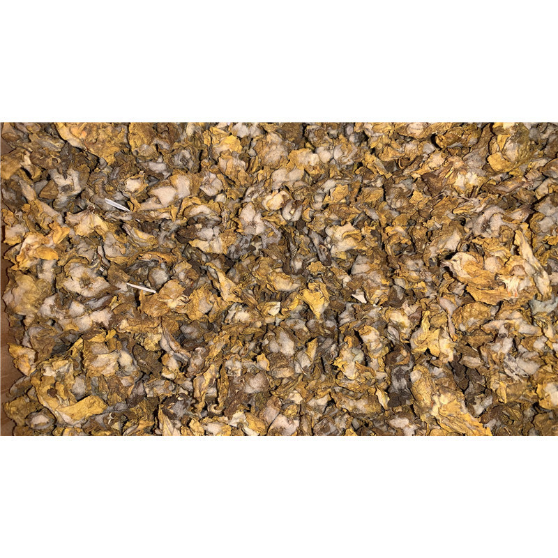 Znco laitue - 300 micro comprimés (env) - OLIGOPHYTUM - HOLISTICA