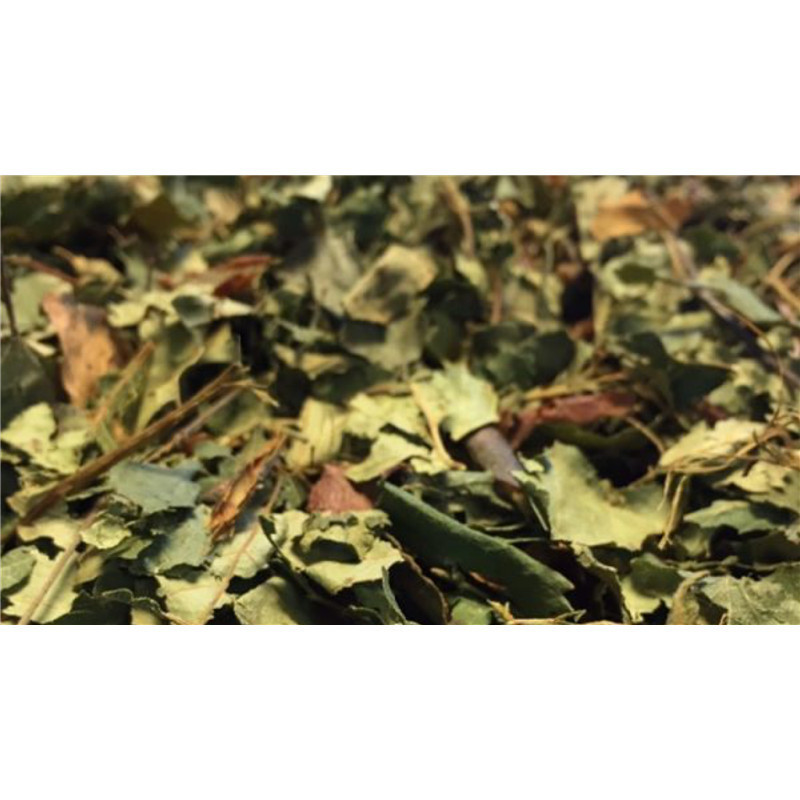 Silistica - 500 ml - HOLISTICA