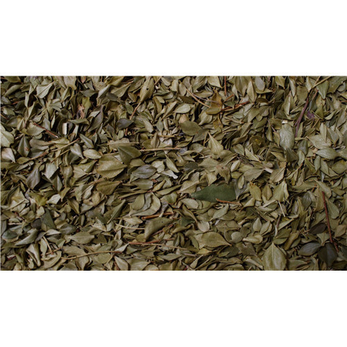 Zinc cresson - 300 micro comprimés (env) - OLIGOPHYTUM - HOLISTICA