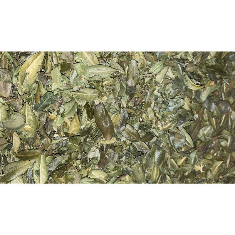 Soldatt lichene - 60 ml - VEGETAL-PROGRESS