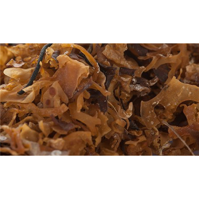 Argile verte ultra ventillée - 250 g - CATTIER