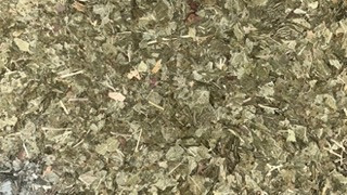 Argile verte concassée - 3 kg - CATTIER