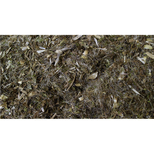 Fer - 60 capsules - OEMINE